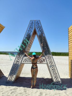Аля, Ноябрьск